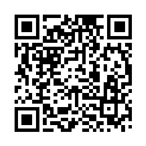 美人鱼们这些年在无尽海域搜集了很多东西二维码生成