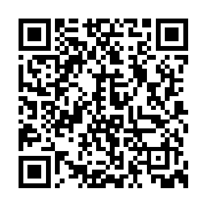 美味居的主仆羡慕嫉妒恨的看着对面的火爆生意二维码生成