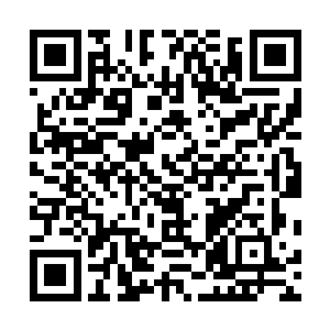 美国从来都是标榜自己是世界上面最为民主和自由的国家二维码生成