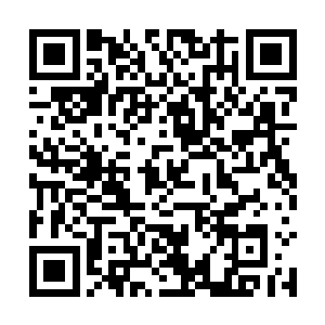 美国的威尔逊教授戴着面具以及变声器在3号的帮助下二维码生成