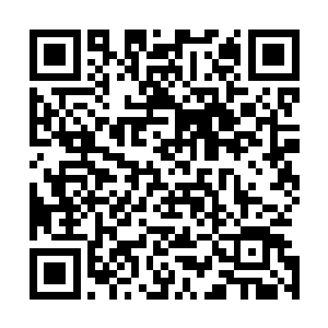 美女杀手那目光中的火热也不知道是因为他还是因为这本书二维码生成