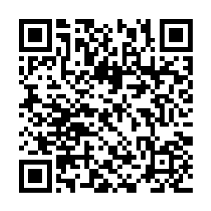 美女经理金雨薇却突然出来对他说苏总有事情找他二维码生成