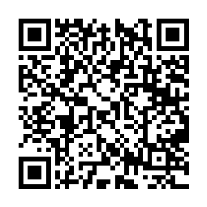 美得可以用根本毫无美感的瓦斯枪来比喻它的美丽二维码生成