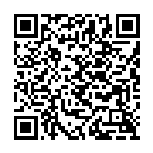 美杰看着阮荷黎浑身肉疼的样子心里笑的开了花二维码生成