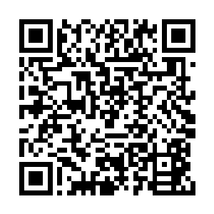 美目有些无神的望着遥远的那栋唯一熟悉的建筑二维码生成