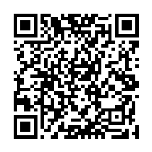 羞怒之下的西门越根本都没有去看许琴扬和淡月舞的修为二维码生成