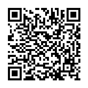 羽神宗的五位巨头从我这边拿走了新炼制的圣药二维码生成