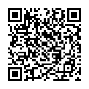 羿界域如果有一个堪比他们七大势力的超级势力存在二维码生成