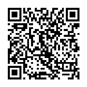 翘着二郎腿的鬼王萧腾摇着手中的红酒杯显得一阵的恰意二维码生成