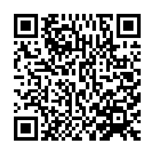 翠莲不得不自己拖着受伤的腿去煮饭……其实她也想叫外卖的二维码生成