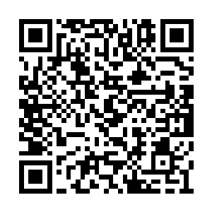 翡翠号的后裔极有可能遭遇技术断层和文明失落二维码生成