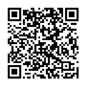 翡翠号的后裔注定将逐渐退化成茹毛饮血的原始人二维码生成