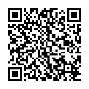 翰林同僚多嗜书成癖以至于哪怕一贫如洗也要借钱买书的老先生二维码生成