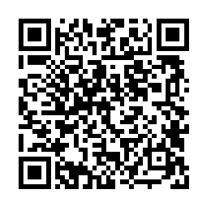 翻检了两遍这才下了竹楼亲自套上云峥家的牛车二维码生成