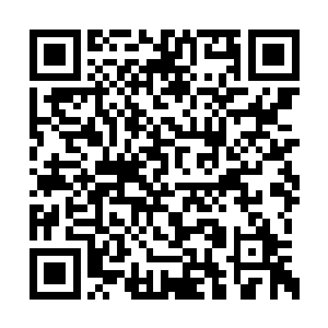 翻涌的鲜血中还不时有金色和紫色细线一闪而过二维码生成