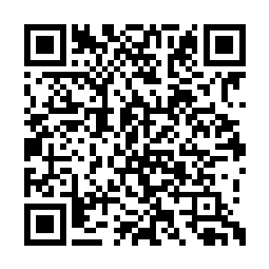 翻身就朝被燕离一拳打晕在地上的燕轲扑了过去二维码生成