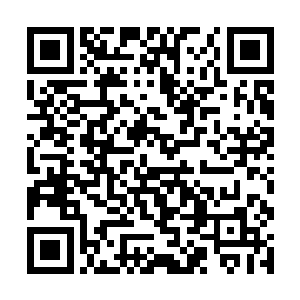 老不死的不是交待你搞定长生和元辰夕这两个伢子吗二维码生成