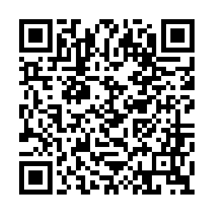 老乔治这边紧张的心脏都要从嗓子眼里跳出来了二维码生成