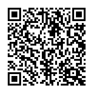 老人家那头呜哩哇啦的夹着哭声贝海这边哪能听的清楚说的什么啊二维码生成