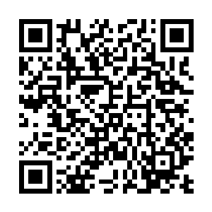 老伯一直都把朱平安当成去应天府参加秀才考试的书生了二维码生成