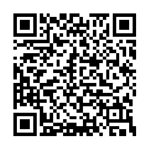 老呆在一个地方度过漫长的一生又有什么意思呢二维码生成