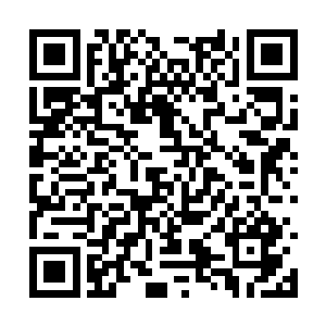 老周正在抽着刚才骑三轮的男人进贡的一盒红塔山二维码生成