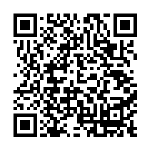 老大的目光落在了不远处的一位穿着衬衫的中年男子身上二维码生成