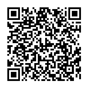 老天　这到底是什么鬼　不仅可以凭空打到自己　还可以看到自己牙齿里的药丸二维码生成