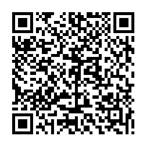 老太太脑补了不少奴隶主们为了争权夺利展开的各种你坑我我坑你的戏码二维码生成