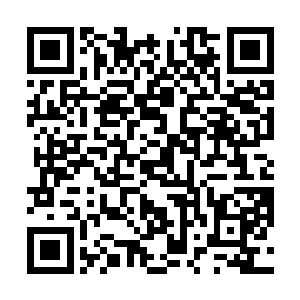 老太太觉得那边的部落既然有一个天赋堪比当年炽的人二维码生成