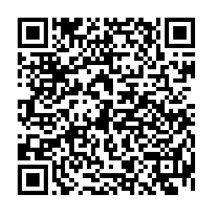 老太监冲进来时候所掀起的强大能量流如同一堵气墙撞向那十几岁的小丫鬟二维码生成