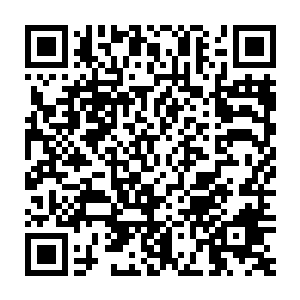 老夫一上任就要为你筹备训练皇族大军的物资连秋赋都用掉了两成二维码生成