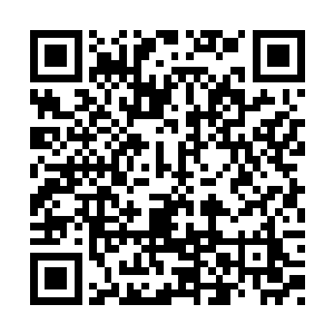 老夫一定要亲手把他困死在鳄蛟岛以解心头之恨二维码生成