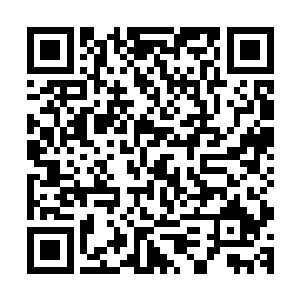 老夫不屑以修神期修士身份和常道友一起对化神后期修士出手二维码生成