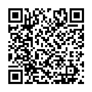老夫也只以为你们两家人拖延方运参与进士试而已二维码生成