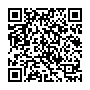 老夫人和苏国公可是从来就没有因为这件事情找过大少爷二维码生成