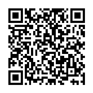 老夫人对三姑娘期望太高了导致要她样样要比别人抢二维码生成