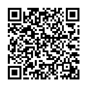 老夫人说着却是仍旧一口一口吃着孙子弄过来的鱼肉二维码生成