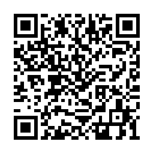 老夫人这桂花坊的东西那可是京城闻名的糕点店二维码生成