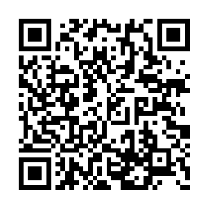老夫只是觉得你长得跟我家公子的一位朋友很像二维码生成