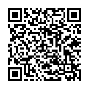 老夫就知道你等不及了…老夫就来了…就来…了…二维码生成