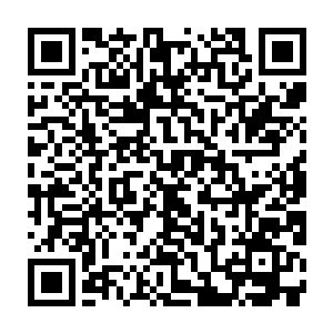 老夫希望大家多留意一下那位为咱曦国立下汗马功劳如今正得皇上宠信的沈姑娘二维码生成