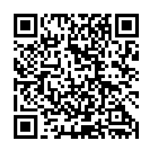 老夫很期待你以后引来两座实打实剑山如同蝗群的场景二维码生成