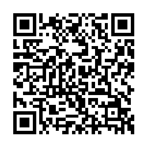 老夫怎么感觉那敖厉召唤出来的血魔有些熟眼啊二维码生成