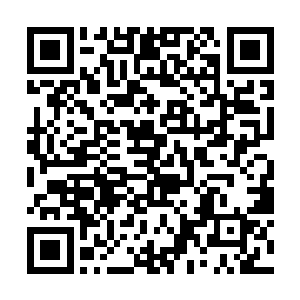 老夫想要将神界的世界之心寄存到小友的鸿蒙塔之中二维码生成