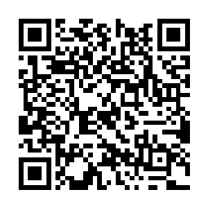 老夫的天幻大阵竟然被你一个尊级的小娃娃破掉了二维码生成