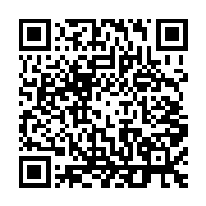 老头儿……你用这么落后的远程武器……也想伤到我萨波大人二维码生成