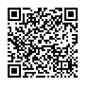 老头儿告诉我大娘去西x跟一个建筑商谈生意去了二维码生成