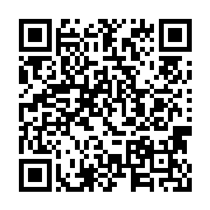 老头子和陈小练一起被押送着走到了前面去就坐二维码生成