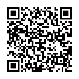 老头子我万万没想到你们龙腾研究院竟然能取得如此重大的突破二维码生成